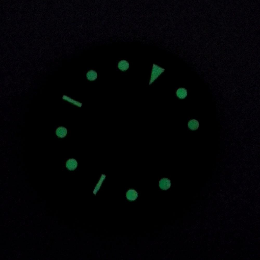 100m Waterproof Watch Case 41m - Exhibition Caseback 评论和价格